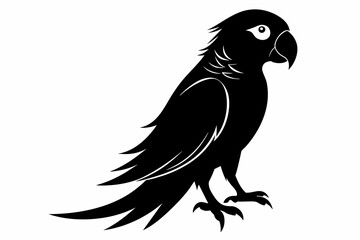 Parrot silhouette on white background, Vector illustration, bird, icon, svg, characters, Holiday t shirt, Hand drawn trendy Vector illustration, illustration of a seagull
