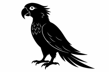 Obraz premium Parrot silhouette on white background, Vector illustration, bird, icon, svg, characters, Holiday t shirt, Hand drawn trendy Vector illustration, illustration of a seagull 