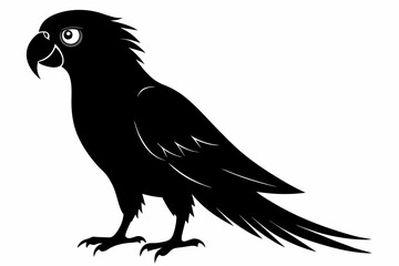 Parrot silhouette on white background, Vector illustration, bird, icon, svg, characters, Holiday t shirt, Hand drawn trendy Vector illustration, illustration of a seagull
