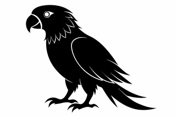 Parrot silhouette on white background, Vector illustration, bird, icon, svg, characters, Holiday t shirt, Hand drawn trendy Vector illustration, illustration of a seagull
