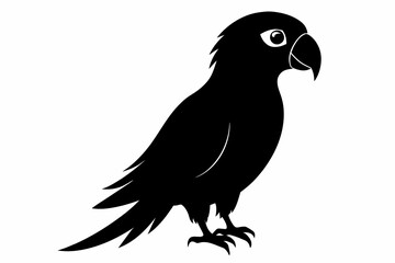 Parrot silhouette on white background, Vector illustration, bird, icon, svg, characters, Holiday t shirt, Hand drawn trendy Vector illustration, illustration of a seagull
