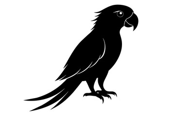 Parrot silhouette on white background, Vector illustration, bird, icon, svg, characters, Holiday t shirt, Hand drawn trendy Vector illustration, illustration of a seagull
