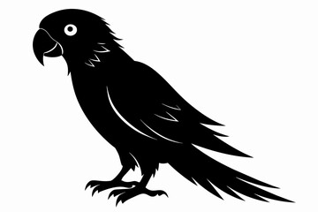 Parrot silhouette on white background, Vector illustration, bird, icon, svg, characters, Holiday t shirt, Hand drawn trendy Vector illustration, illustration of a seagull
