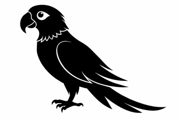 Obraz premium Parrot silhouette on white background, Vector illustration, bird, icon, svg, characters, Holiday t shirt, Hand drawn trendy Vector illustration, illustration of a seagull 