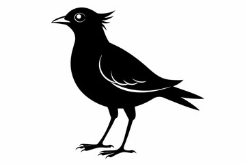 Lark silhouette on white background, Vector illustration, bird, icon, svg, characters, Holiday t shirt, Hand drawn trendy Vector illustration, crow on a white