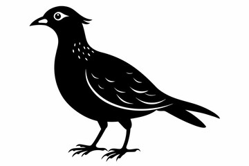 Lark silhouette on white background, Vector illustration, bird, icon, svg, characters, Holiday t shirt, Hand drawn trendy Vector illustration, crow on a white