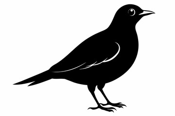 Lark silhouette on white background, Vector illustration, bird, icon, svg, characters, Holiday t shirt, Hand drawn trendy Vector illustration, crow on a white