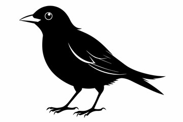 Lark silhouette on white background, Vector illustration, bird, icon, svg, characters, Holiday t shirt, Hand drawn trendy Vector illustration, crow on a white