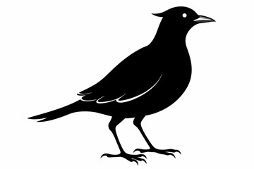 Lark silhouette on white background, Vector illustration, bird, icon, svg, characters, Holiday t shirt, Hand drawn trendy Vector illustration, crow on a white