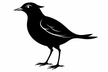 Lark silhouette on white background, Vector illustration, bird, icon, svg, characters, Holiday t shirt, Hand drawn trendy Vector illustration, crow on a white