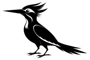 Woodpecker silhouette on white background, Vector illustration, bird, icon, svg, characters, Holiday t shirt, Hand drawn trendy Vector illustration, raven on a branch
