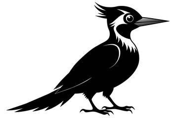 Woodpecker silhouette on white background, Vector illustration, bird, icon, svg, characters, Holiday t shirt, Hand drawn trendy Vector illustration, raven on a branch