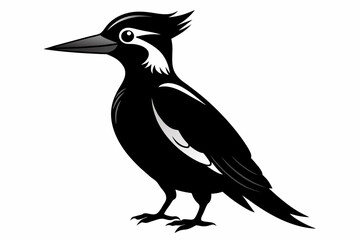 Woodpecker silhouette on white background, Vector illustration, bird, icon, svg, characters, Holiday t shirt, Hand drawn trendy Vector illustration, raven on a branch