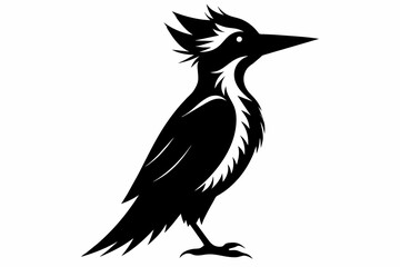 Woodpecker silhouette on white background, Vector illustration, bird, icon, svg, characters, Holiday t shirt, Hand drawn trendy Vector illustration, raven on a branch