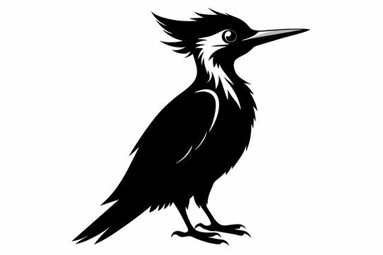 recommend clip art: Woodpecker silhouette on white background, Vector illustration, bird, icon, svg, characters, Holiday t shirt, Hand drawn trendy Vector illustration, raven on a branch