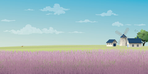 Old farm windmill in lavender field side view with blue sky background vector illustration have blank space. Countryside concept with purple flowers field.