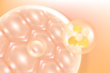 Hyaluronic acid and Niacinamide hair and skin solutions ad, gold collagen serum drop with cosmetic advertising background ready to use, illustration vector.