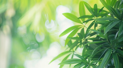 Fototapeta premium A detailed view of lush green leaves on a plant, showcasing intricate textures and vibrant hues