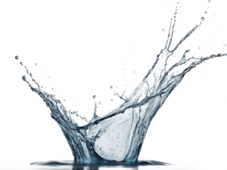 water splash on white background