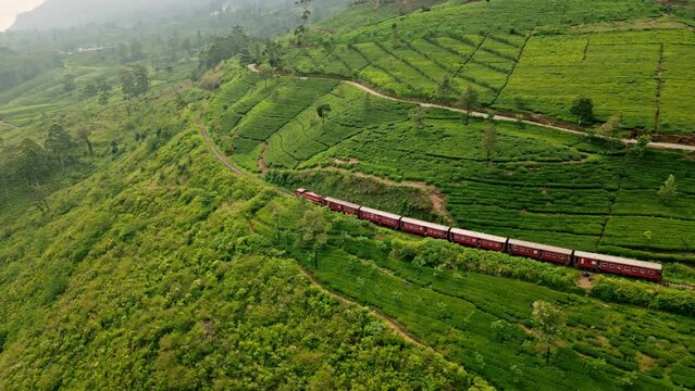 Aerial shot of red train snaking through green tea plantations in Sri Lanka mountainous region. Scenic railway journey offers unique travel experience along lush terraced slopes. Drone shot