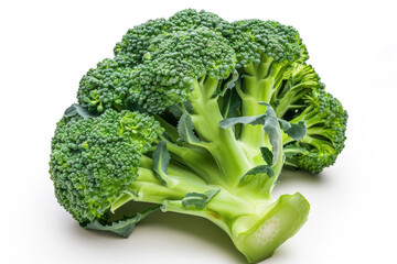 A head of fresh green broccoli with tight florets and a sturdy stem
