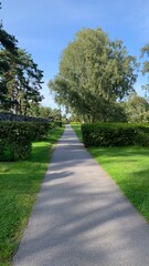 Long straight walking path surrounded by sky ,trees and bushes. 