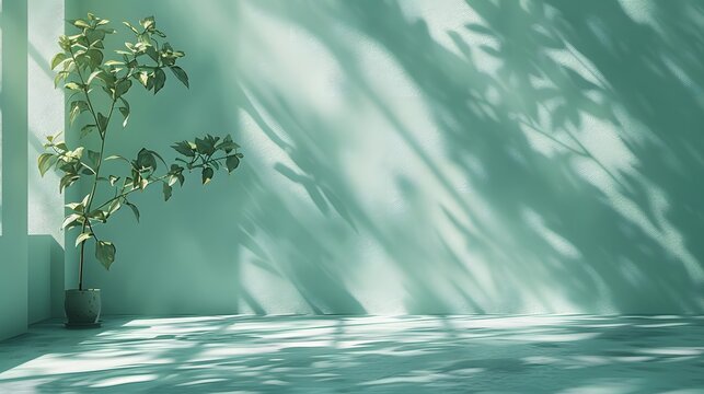 Beautiful light green pastel background with shadows from tree leaves on the wall. Minimalistic scene for product presentation in ecommerce, empty space