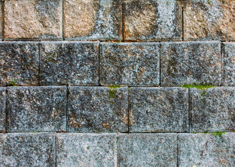 Gray brick wall with lemongrass, close-up photo