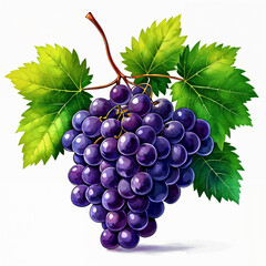 Fototapeta premium A bunch of purple grapes hanging from a vine, with green leaves surrounding them.