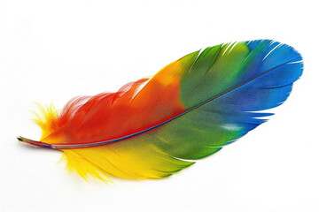 A single colorful parrot feather with a spectrum of vibrant colors