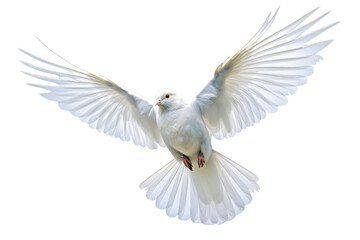 Obraz premium White dove in flight with spread wings, peaceful bird symbol, detailed feathered pigeon for religion and wedding design isolated on Transparent Background
