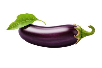 Enigmatic Eggplant: A Botanical Beauty on White or PNG Transparent Background.
