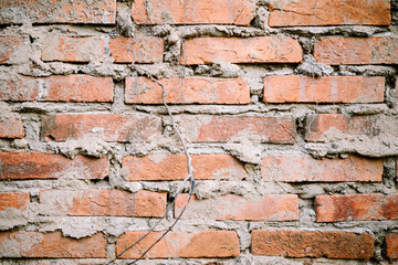 Fototapeta premium Neatly arranged layers of red brick make up the outer surface of a wall, exuding a rustic charm and timeless elegance.