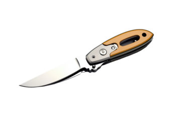 The Silent Sentinel on White or PNG Transparent Background.