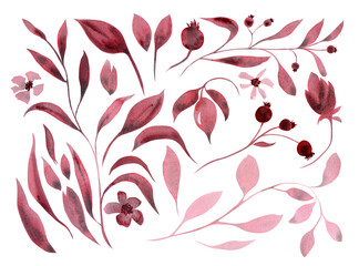 Monochrome set of plant elements - flowers, leaves, twigs, berries. Hand drawn watercolor illustration. Isolated on white background. For the design and decoration of cards, packaging, invitations
