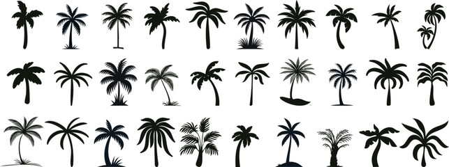 tropical palm tree silhouettes, perfect for summer, travel, vacation designs. palm tree Vector illustrations of diverse shapes on a white background