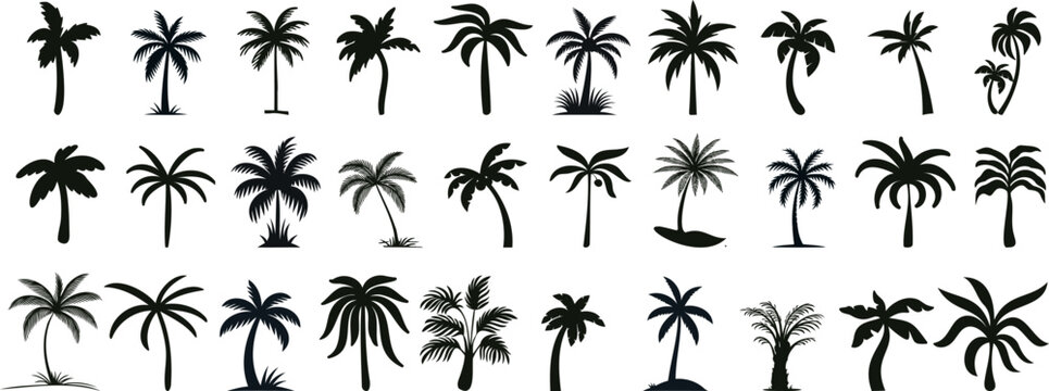 tropical palm tree silhouettes, perfect for summer, travel, vacation designs. palm tree Vector illustrations of diverse shapes on a white background