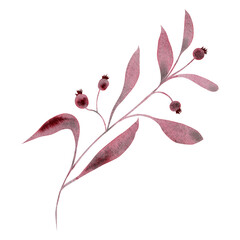 Monochrome twig with leaves and berries. Hand drawn watercolor illustration. Isolated on white background. For the design and decoration of cards, packaging, invitations and more