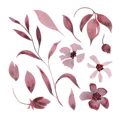 Monochrome set of plant elements - flowers, leaves, branches, berries. Hand drawn watercolor illustration. Isolated on white background. For the design and decoration of cards, packaging, invitations