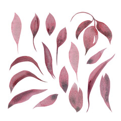 Monochrome set of leaf plant elements. Hand drawn watercolor illustration. Isolated on white background. For the design and decoration of cards, packaging, invitations and more