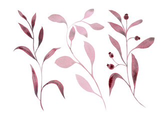 Set of monochrome branches with leaves and berries. Hand drawn watercolor illustration. Isolated on white background. For the design and decoration of cards, packaging, invitations and more