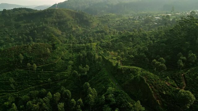 Aerial view of Haputale lush green tea fields. Drone footage captures terraced plantations in Sri Lanka. Travelers explore rural landscape, fresh highland air, scenic beauty in Asian countryside.