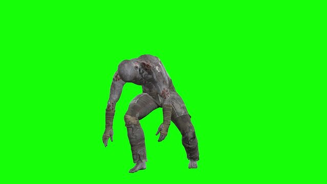 3D male zombie standing idle on green screen seamless loop 3D animation, front view. You can easily key out (remove) the green screen with just one click using any video editor.