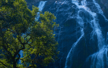 The water flows a lot from the cliffs of a natural waterfall. fullness of forests and nature	