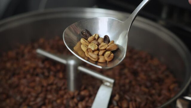 Rejecting bad coffee beans from coffee making process. Close up