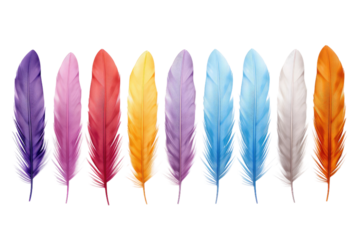 A Symphony of Plumage: Vibrant Feathers on a Canvas of White on White or PNG Transparent Background.
