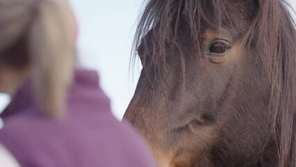 Chestnut horse shakes its mane near woman during equine therapy session, closeup