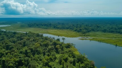 dji mavic drone photo of the amazon jungle