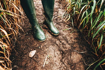 Dirty rubber boots in muddy soil, farmer standing in field after rain