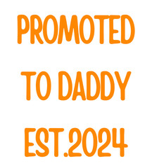 Promoted to Daddy 2024 T shirt